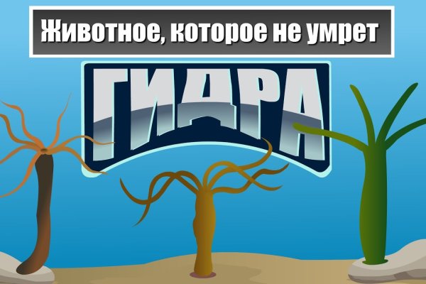 Кракен площадка даркнет