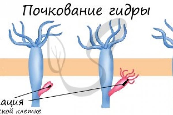 Зеркало кракен kr2web in